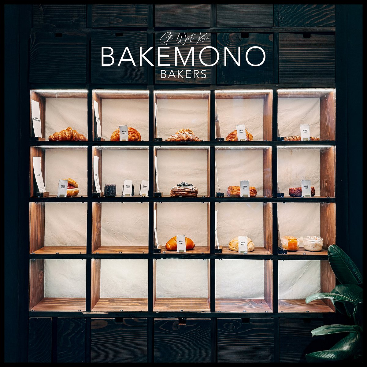 The backlit dark-timber display case, a grid of glowing cubbies holding single pastries
